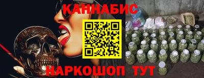 сатива Новодвинск