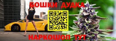 стафф Новокубанск