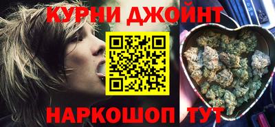 сатива Новодвинск
