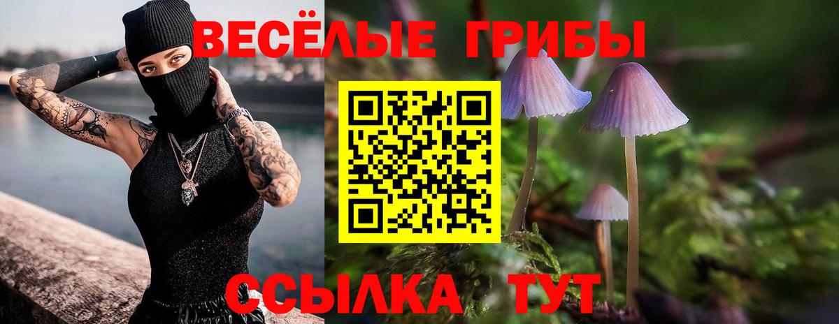 Торжок  Псилоцибиновые грибы ЛСД  Вход с VPN 